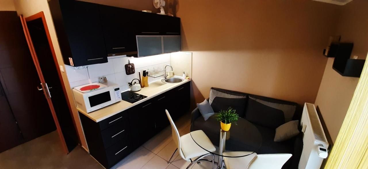 Апартаменты Apartament Słoneczna Radzyń